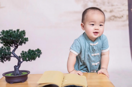 上海可爱的企鹅宝宝